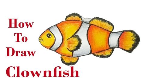 Clownfish Step By Step Very Easy How To Draw Fish Youtube