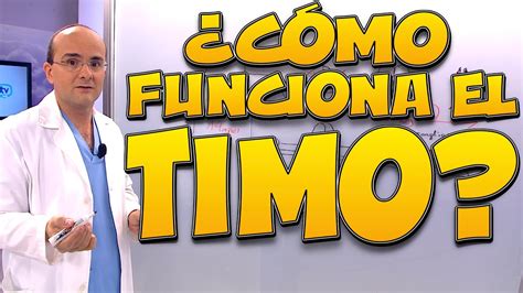 Timo C Mo Funciona Cuerpo Humano Youtube