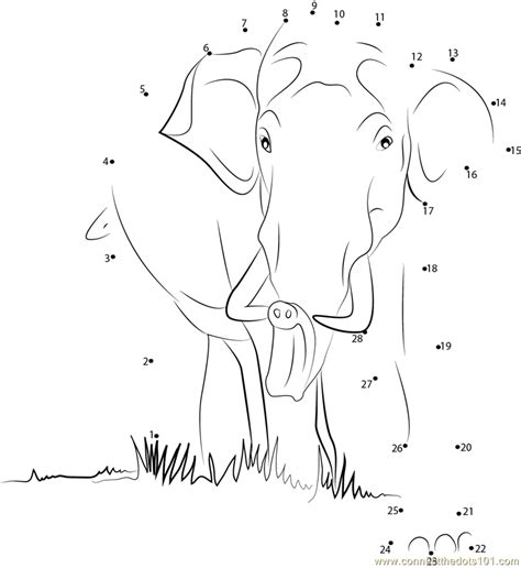 Wild Elephant Dot To Dot Printable Worksheet Connect The Dots