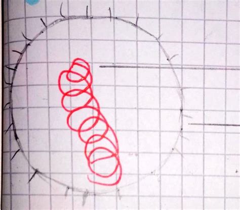 Schaubild Viren Quizlet