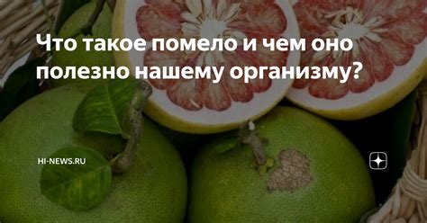 Что такое помело и чем оно полезно нашему организму? | Hi-News.ru | Дзен