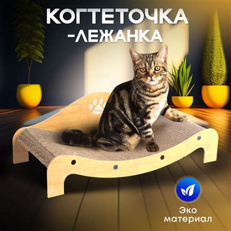 Когтеточка лежанка для кошек - купить с доставкой по выгодным ценам в ...