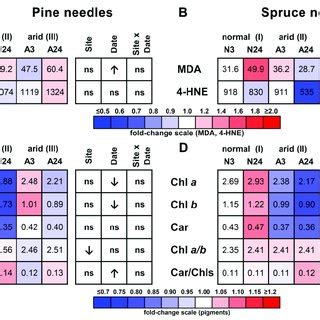 Contents Of Lipid Peroxidation Products A B And Photosynthetic