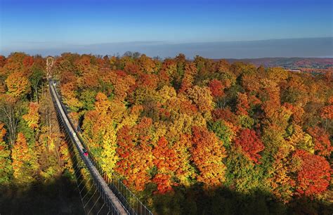 places   fall foliage  chicago updated