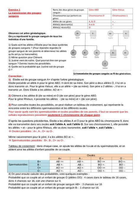 Devoir Maison Svt 3eme Chromosomes