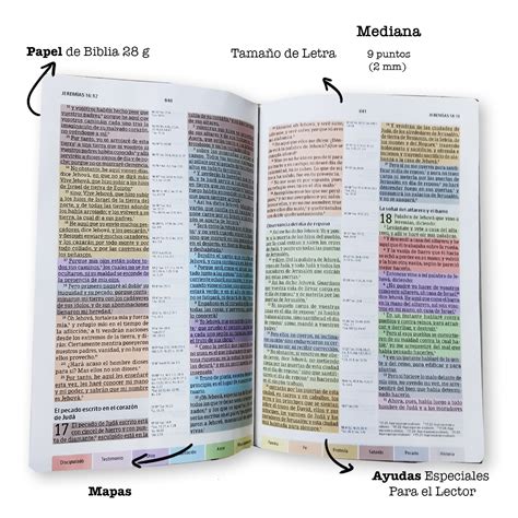 Biblia De Estudio Rvr Arcoiris Multicolor Tapa Dura Libreria