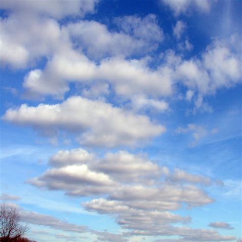 A Cloudy Day Free Stock Photo - Public Domain Pictures