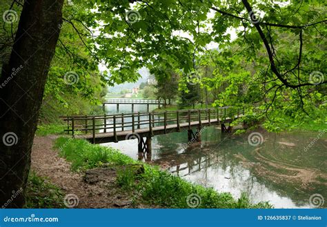 Ponte Sobre O Lago Vista Na Natureza Imagem De Stock Imagem De