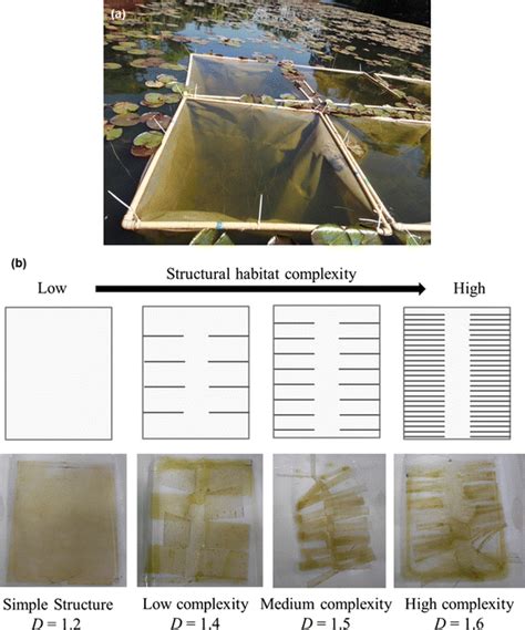 A Photo Showing The Mesocosms Where The Substrates With Different