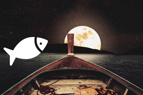 Fishing On A Full Moon How Moon Phases Affect Fish