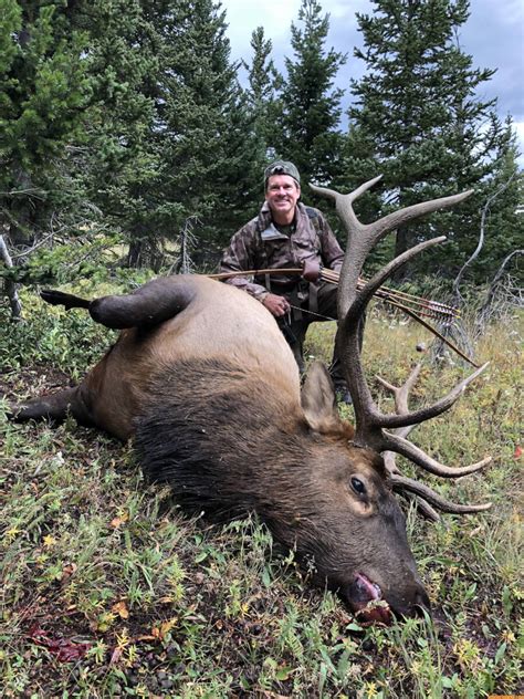 Dudley McGarity Takes A Public Lands Bull Elk With His Longbow Day 3