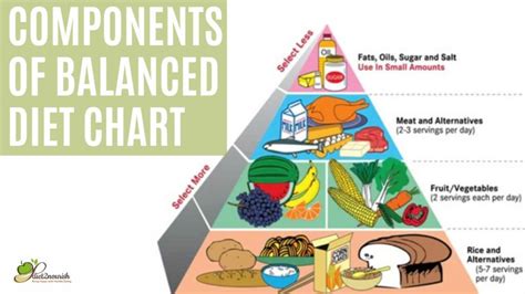 solid Portuguese square 7 components of a balanced diet Governable Chronic Noble