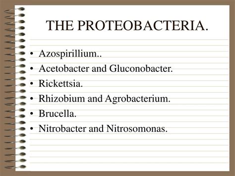 PPT - CLASSIFICATION OF MICROORGANISMS. PowerPoint Presentation - ID:545453