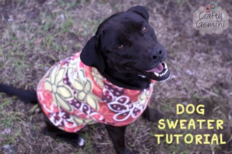 Dog Sweater Tutorial- DIY - Crafty Gemini