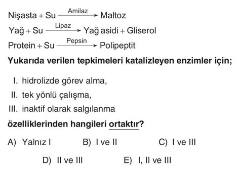 Ya Am Bilimi Biyoloji Ve Canl Lar N Ortak Zellikleri Pakodemyforum