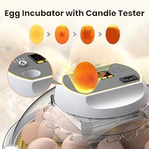 Amazon DETODDA Incubators For Hatching Eggs 18 60 Eggs Incubator