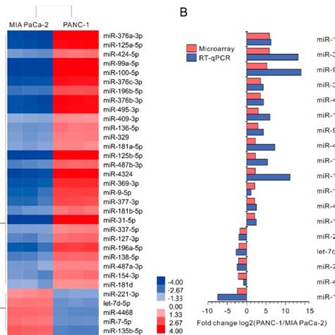 PDF Differentially Expressed MicroRNAs In MIA PaCa 2 And PANC 1