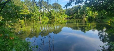 Pond Fishing For Bass Proven Techniques To Catch Big Bass USAngler