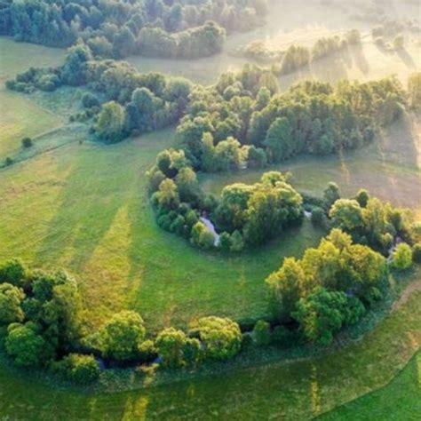 Alla Scoperta Della Riserva Naturale Della Marcigliana Zona Roma Nord