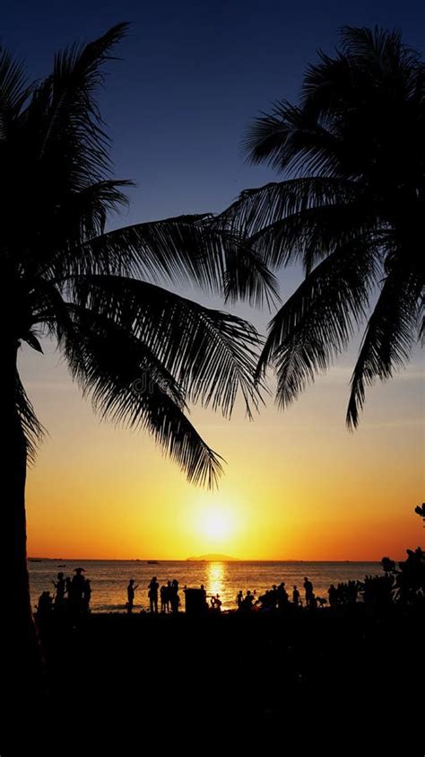 Paisaje De Sol Puesta De Sol En La Playa Silueta De Palmeras En La