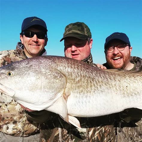 South Louisiana Redfishing Vermilion Bay Louisiana Fishing Map