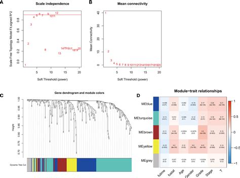 Frontiers Identification Of A Ferroptosis Related Signature Model Including Mrnas And Lncrnas