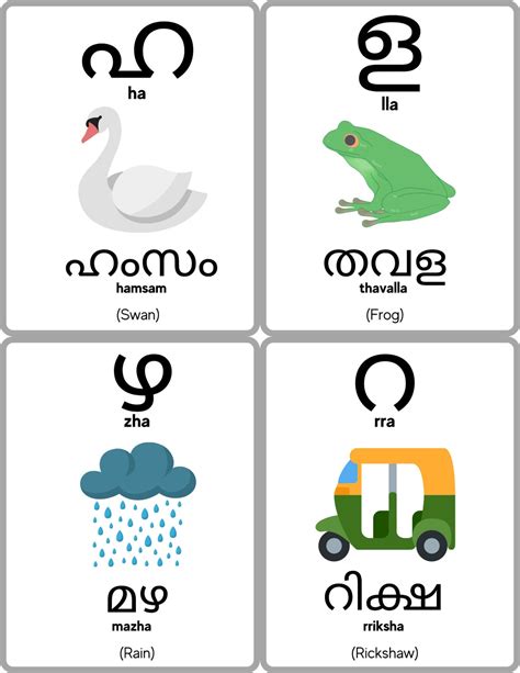 Malayalam Alphabet Flashcards Malayalam Consonants Learn Malayalam Aksharangal Vyanjanam Etsy