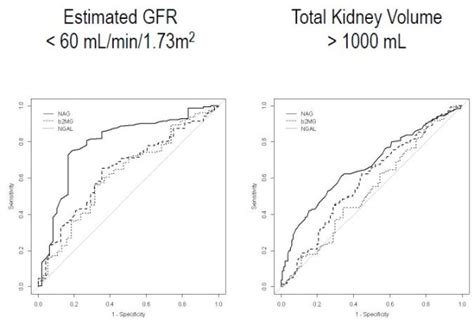 Receiver Operating Characteristic Curve Analysis With Urinary Download Scientific Diagram