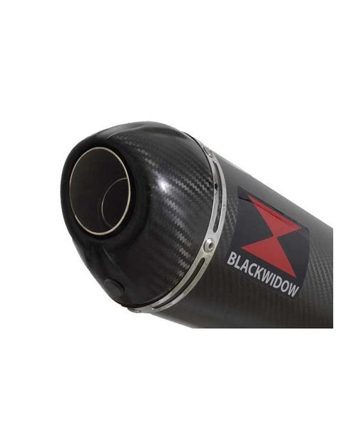 Zx R Zx R Tube De Raccord Silencieux Ovale En Carbone