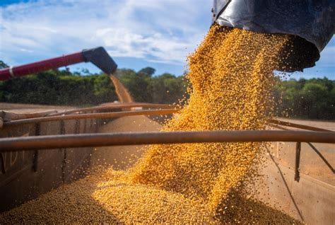 Comercializa O Da Soja Brasileira Safra Chega A Da