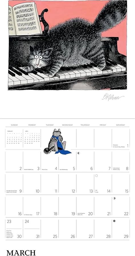 The Wacky World Of Cats Calendar 2025 Samuel Andrade