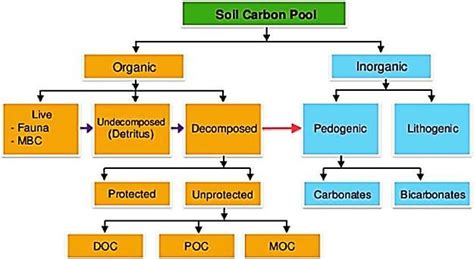 Constituents Of Soil Carbon Pool Download Scientific Diagram