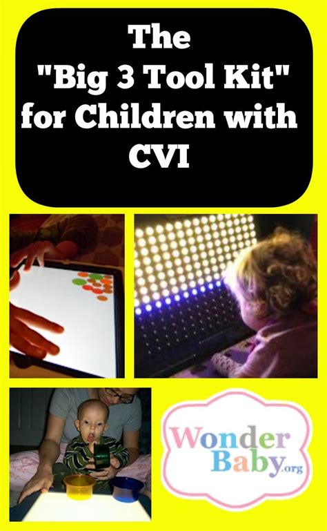 The Big 3 Tool Kit For Children With Cvi Plus The 20 Best Cvi