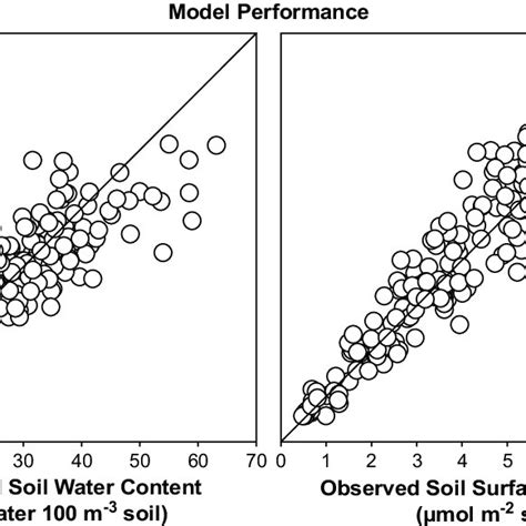 Observed Values Of Soil Water Content And Soil Respiration And The