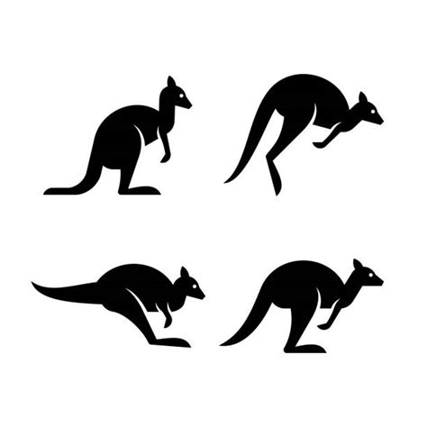 2 300 Wallaby Stock Illustrations Royalty Free Vector Graphics And Clip