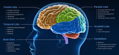 Understanding Traumatic Brain Injuries