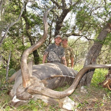 Kudu Hunts Star S Ranch