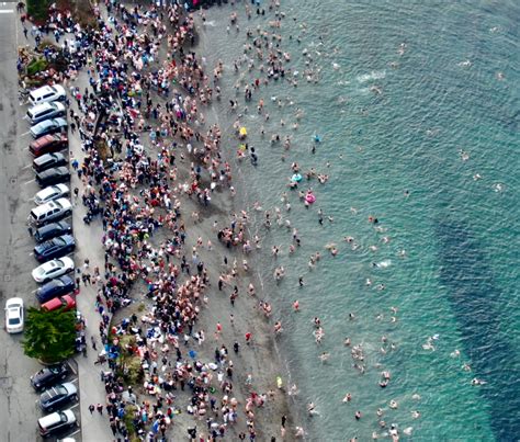 Edmonds Polar Plunge Participants Dive Into 2024 Lynnwood Today