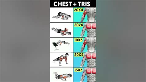 Chesttricep Workout At Home To Build Muscle Shorts Youtube