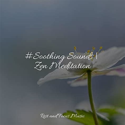 Soothing Sounds Zen Meditation De The Relaxation Principle Spa