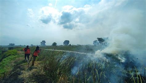 Dampak Karhutla ISPA Di Kabupaten Banjar Meningkat Hingga Ribuan Kasus