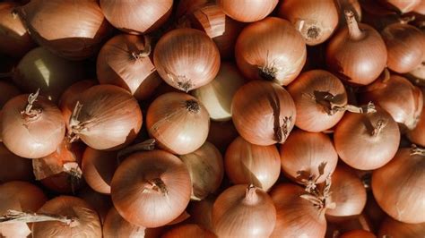 Les clés pour réussir la culture de la patate douce RTBF Actus