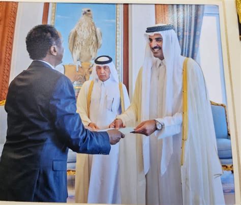 New Somali Ambassador Presents Credentials To The Emir Of Qatar