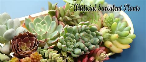 Amazon Woohome 10 PCS Artificial Succulent Plants Blue Fake