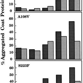 Aggregation Of Tsf Coat Proteins In Vivo The Amount Of Aggregation At