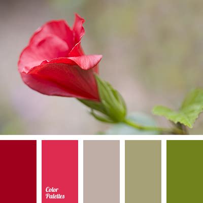 bright crimson | Color Palette Ideas