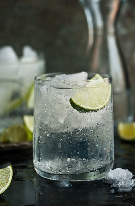 Cómo Preparar El Gin Tonic Perfecto Belleza Saludable