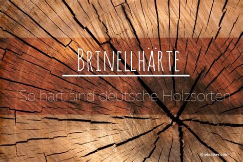 Holz Festmeter Berechnen Formel Mit Grafik