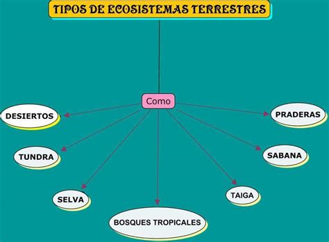 Cuadro Sinoptico De Los Ecosistemas Terrestres Tados The Best Porn