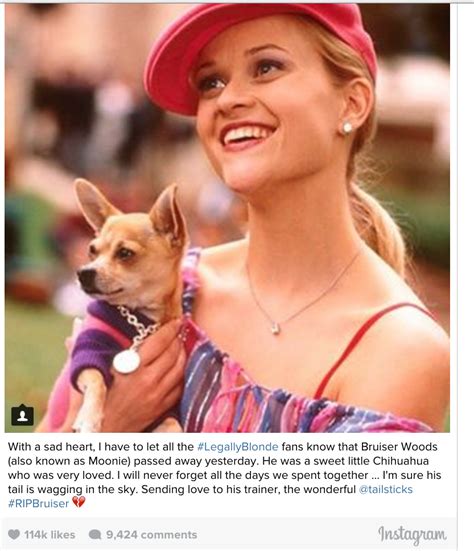 Legally Blonde Chihuahua Bruiser Woods Dies